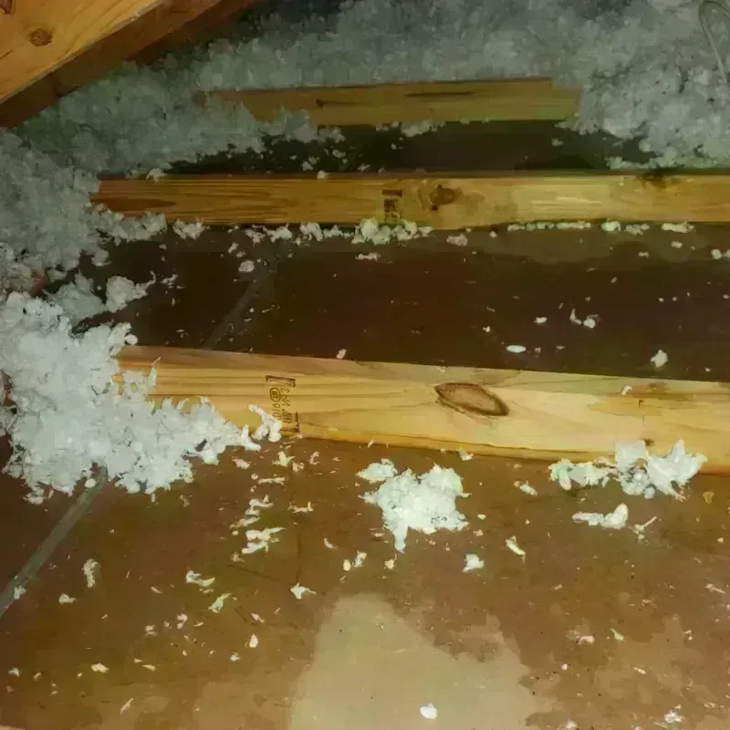 Attic Water Damage in Occidental, CA